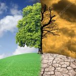Climate Change Effect on our Environment