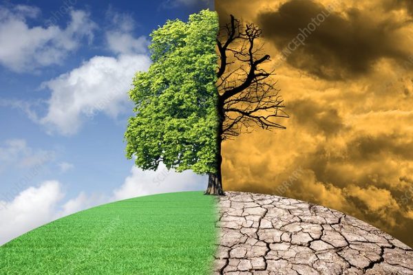 Climate Change Effect on our Environment