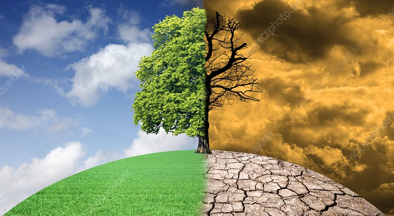 Climate Change Effect on our Environment